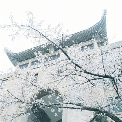 哈尔滨：近600栋历史文化建筑实现“数字孪生”